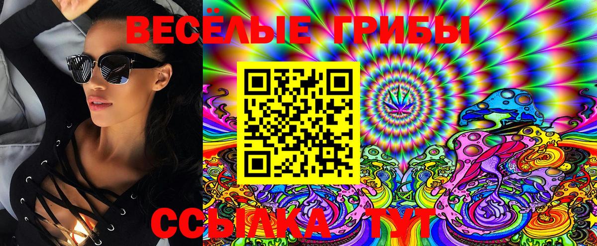 Псилоцибиновые грибы Cubensis Абинск
